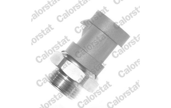 Temperature switch, radiator fan