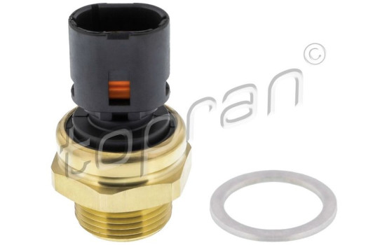 Temperature switch, radiator fan