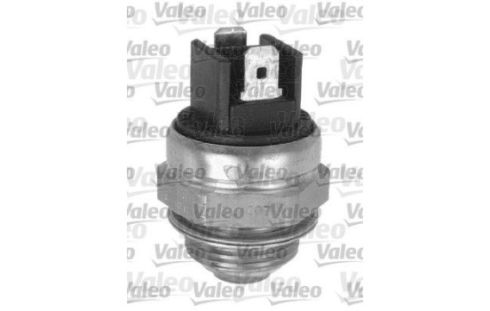 Temperature switch, radiator fan