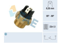 Temperature switch, radiator fan