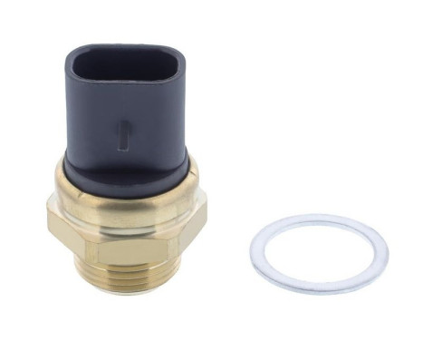 Temperature switch, radiator fan