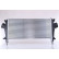 Intercooler, charge air cooler 961252 Nissens, Thumbnail 2