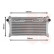 Intercooler, charger 53004476 International Radiators