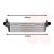 Intercooler, charger 58004313 International Radiators