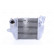 Intercooler, charger 96032 Nissens