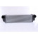 Intercooler, charger 96100 Nissens