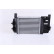 Intercooler, charger 96262 Nissens, Thumbnail 4