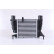 Intercooler, charger 96396 Nissens