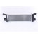 Intercooler, charger 96782 Nissens, Thumbnail 5