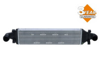 Intercooler, charger