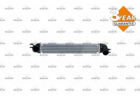 Intercooler, charger