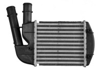 Intercooler, charger