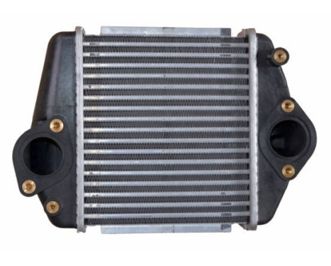Intercooler, charger