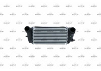 Intercooler, charger