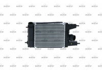 Intercooler, charger