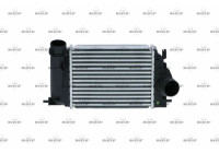 Intercooler, charger