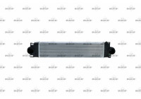 Intercooler, charger