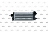 Intercooler, charger