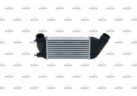 Intercooler, charger