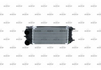 Intercooler, charger