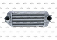 Intercooler, charger