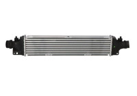Intercooler, charger