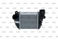 Intercooler, charger
