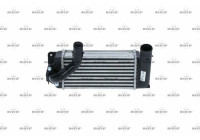 Intercooler, charger