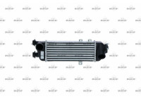 Intercooler, charger