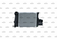 Intercooler, charger