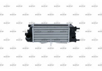 Intercooler, charger