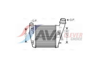 Intercooler, charger