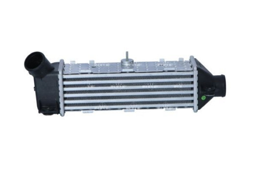 Intercooler, charger