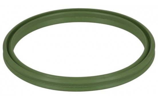 Seal ring, charge air hose