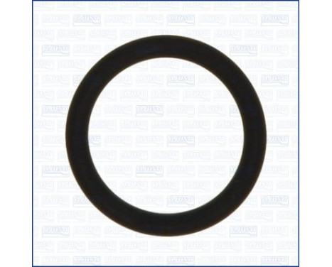 Seal ring, charge air hose