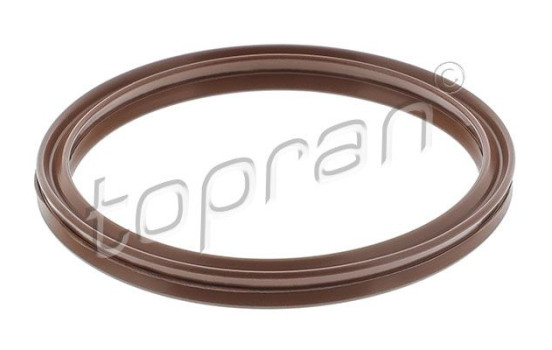 Seal ring, charge air hose