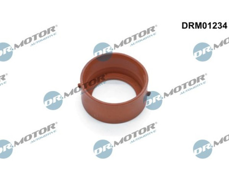 Seal ring, charge air hose