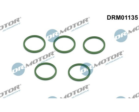 Seal ring, charge air hose
