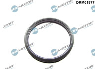 Seal ring, charge air hose