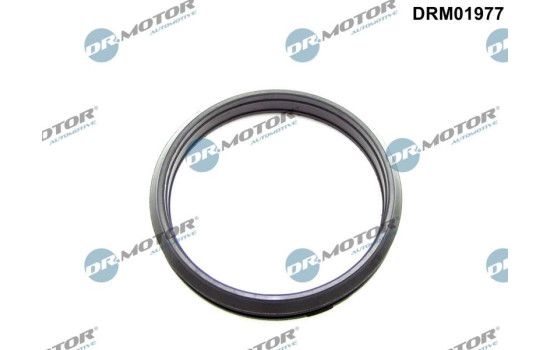 Seal ring, charge air hose