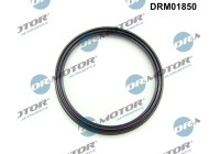 Seal ring, charge air hose