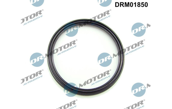 Seal ring, charge air hose