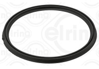 Seal ring, charge air hose
