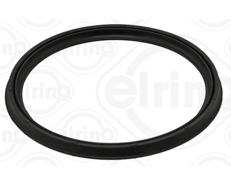 Seal ring, charge air hose