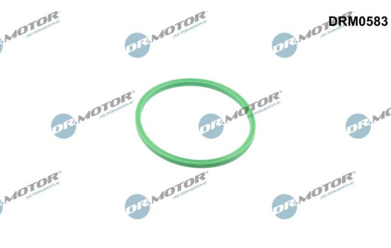 Seal ring, charge air hose