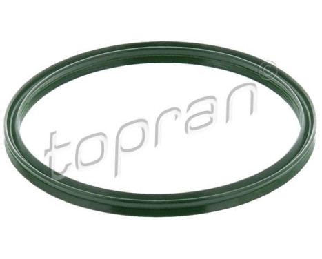 Seal Ring, turbo air hose