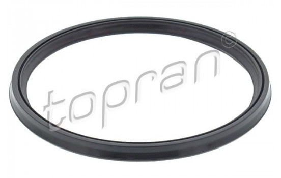 Seal Ring, turbo air hose