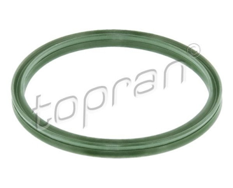 Seal Ring, turbo air hose