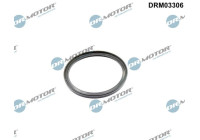 Sealing ring, charge air hose