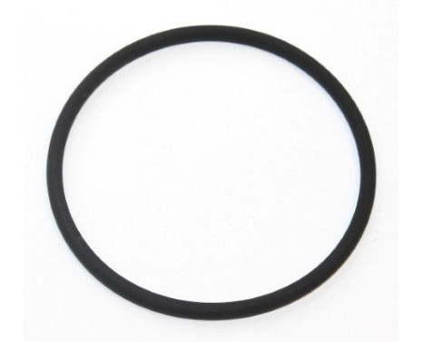 Sealing ring